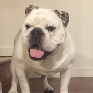 Meet your Posher, Grace